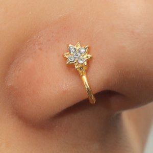 NWT Nose Rings